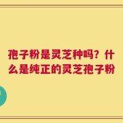 孢子粉是灵芝种吗？什么是纯正的灵芝孢子粉