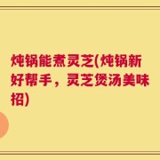 炖锅能煮灵芝(炖锅新好帮手，灵芝煲汤美味招)