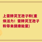 上雷牌灵芝孢子粉(重焕活力！雷牌灵芝孢子粉带来健康能量)