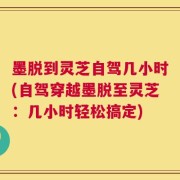 墨脱到灵芝自驾几小时(自驾穿越墨脱至灵芝：几小时轻松搞定)