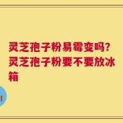 灵芝孢子粉易霉变吗？灵芝孢子粉要不要放冰箱