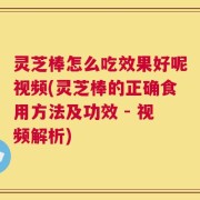 灵芝棒怎么吃效果好呢视频(灵芝棒的正确食用方法及功效 - 视频解析)