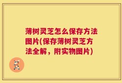 薄树灵芝怎么保存方法图片(保存薄树灵芝方法全解，附实物图片)