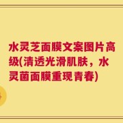 水灵芝面膜文案图片高级(清透光滑肌肤，水灵菌面膜重现青春)