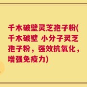千木破壁灵芝孢子粉(千木破壁 小分子灵芝孢子粉，强效抗氧化，增强免疫力)
