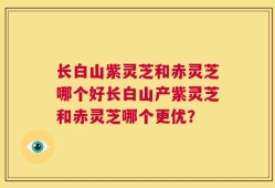 长白山紫灵芝和赤灵芝哪个好长白山产紫灵芝和赤灵芝哪个更优？