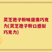 灵芝孢子粉味道像巧克力(灵芝孢子粉口感似巧克力)
