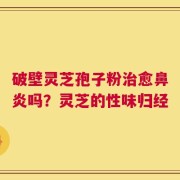 破壁灵芝孢子粉治愈鼻炎吗？灵芝的性味归经