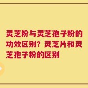 灵芝粉与灵芝孢子粉的功效区别？灵芝片和灵芝孢子粉的区别