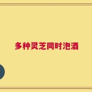 多种灵芝同时泡酒
