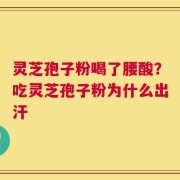 灵芝孢子粉喝了腰酸？吃灵芝孢子粉为什么出汗