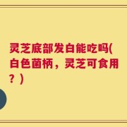 灵芝底部发白能吃吗(白色菌柄，灵芝可食用？)