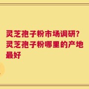 灵芝孢子粉市场调研？灵芝孢子粉哪里的产地最好
