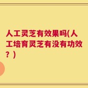 人工灵芝有效果吗(人工培育灵芝有没有功效？)