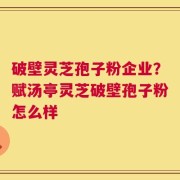 破壁灵芝孢子粉企业？赋汤亭灵芝破壁孢子粉怎么样
