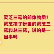 灵芝三萜的前体物质？灵芝孢子粉里的灵芝三萜和总三萜，说的是一回事吗
