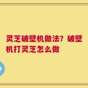 灵芝破壁机做法？破壁机打灵芝怎么做