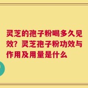 灵芝的孢子粉喝多久见效？灵芝孢子粉功效与作用及用量是什么