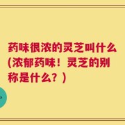 药味很浓的灵芝叫什么(浓郁药味！灵芝的别称是什么？)