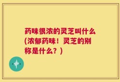药味很浓的灵芝叫什么(浓郁药味！灵芝的别称是什么？)