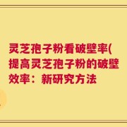 灵芝孢子粉看破壁率(提高灵芝孢子粉的破壁效率：新研究方法