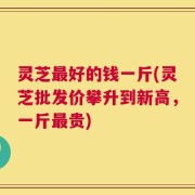 灵芝最好的钱一斤(灵芝批发价攀升到新高，一斤最贵)