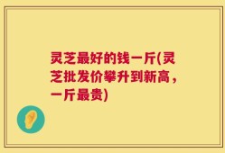 灵芝最好的钱一斤(灵芝批发价攀升到新高，一斤最贵)