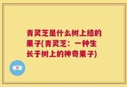青灵芝是什么树上结的果子(青灵芝：一种生长于树上的神奇果子)