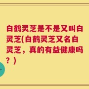 白鹤灵芝是不是又叫白灵芝(白鹤灵芝又名白灵芝，真的有益健康吗？)