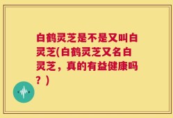 白鹤灵芝是不是又叫白灵芝(白鹤灵芝又名白灵芝，真的有益健康吗？)
