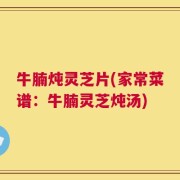牛腩炖灵芝片(家常菜谱：牛腩灵芝炖汤)
