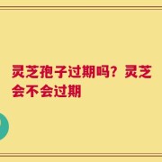 灵芝孢子过期吗？灵芝会不会过期