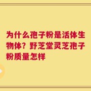 为什么孢子粉是活体生物体？野芝堂灵芝孢子粉质量怎样
