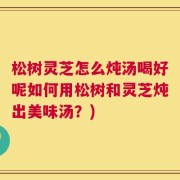 松树灵芝怎么炖汤喝好呢如何用松树和灵芝炖出美味汤？)