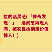捡的活灵芝(「神奇发现！」：活灵芝再现人间，被农民捡到后价值惊人！)