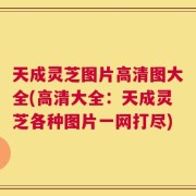 天成灵芝图片高清图大全(高清大全：天成灵芝各种图片一网打尽)