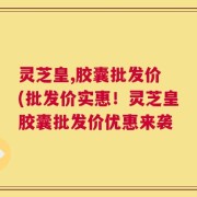 灵芝皇,胶囊批发价 (批发价实惠！灵芝皇胶囊批发价优惠来袭