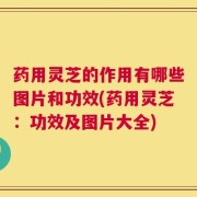 药用灵芝的作用有哪些图片和功效(药用灵芝：功效及图片大全)