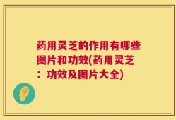 药用灵芝的作用有哪些图片和功效(药用灵芝：功效及图片大全)
