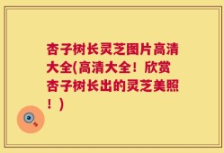 杏子树长灵芝图片高清大全(高清大全！欣赏杏子树长出的灵芝美照！)
