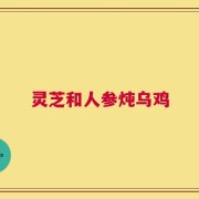 灵芝和人参炖乌鸡