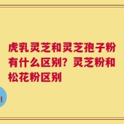 虎乳灵芝和灵芝孢子粉有什么区别？灵芝粉和松花粉区别