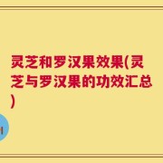 灵芝和罗汉果效果(灵芝与罗汉果的功效汇总)