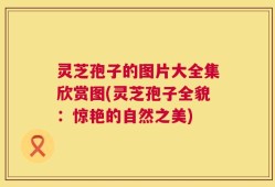 灵芝孢子的图片大全集欣赏图(灵芝孢子全貌：惊艳的自然之美)