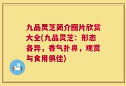 九品灵芝简介图片欣赏大全(九品灵芝：形态各异，香气扑鼻，观赏与食用俱佳)