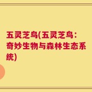 五灵芝鸟(五灵芝鸟：奇妙生物与森林生态系统)