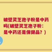 破壁灵芝孢子粉是中药吗(破壁灵芝孢子粉：是中药还是保健品？)