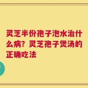 灵芝半份孢子泡水治什么病？灵芝孢子煲汤的正确吃法