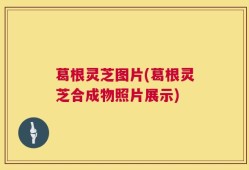 葛根灵芝图片(葛根灵芝合成物照片展示)