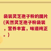 袋装灵芝孢子粉的图片(天然灵芝孢子粉袋装，营养丰富，味道纯正。)